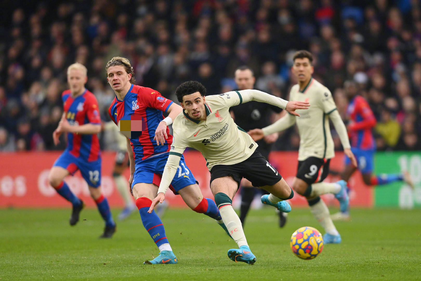 定性和意外 定性和意外