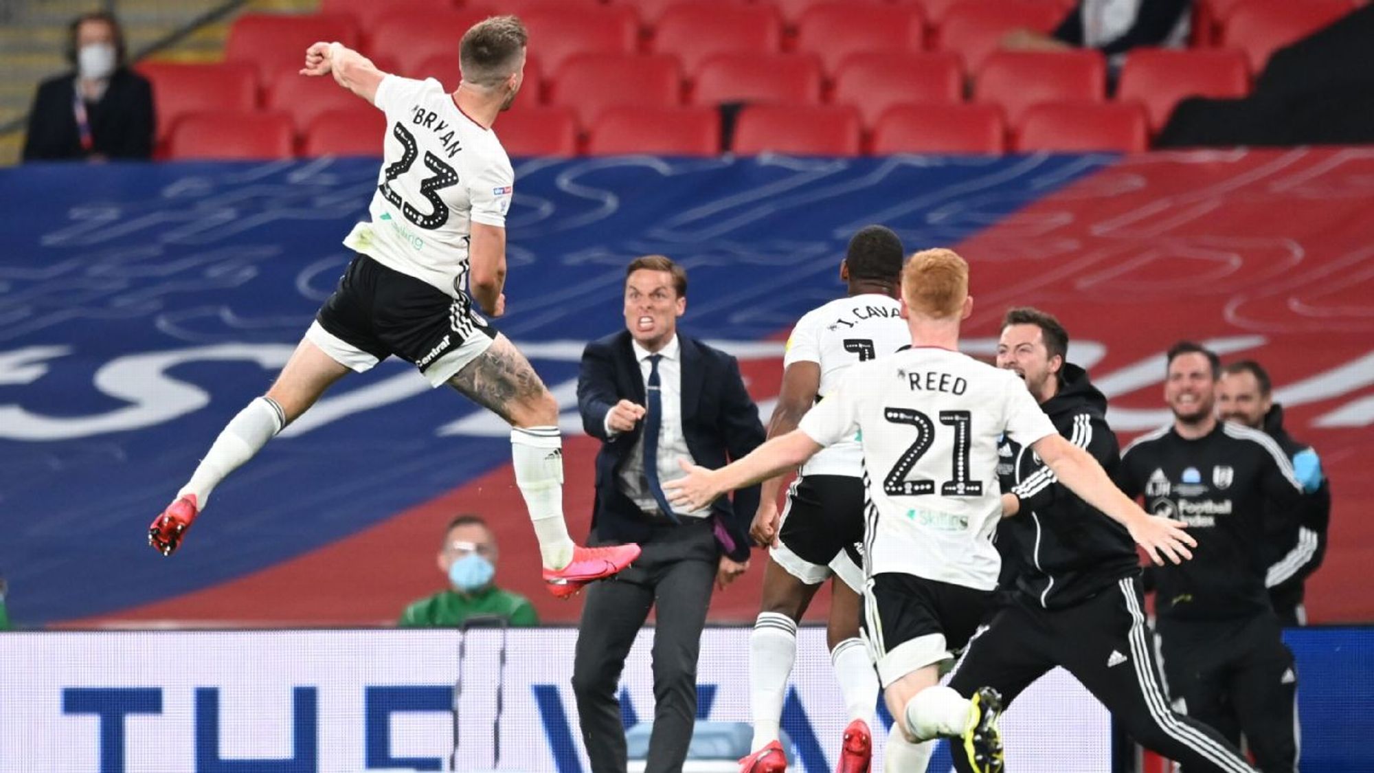 非洲的绿色 非洲的绿色